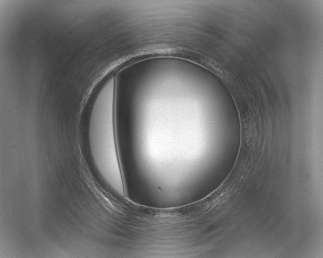 X0000056360350200508260952