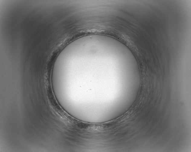 X0000056360354200508260952