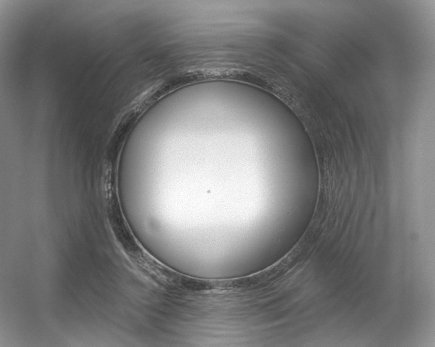X0000056360356200508260952