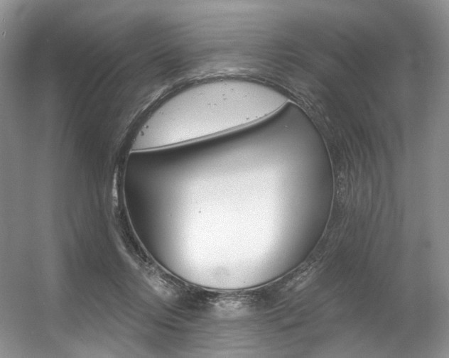 X0000056360358200508260952
