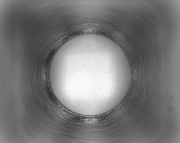 X0000056360363200508260952