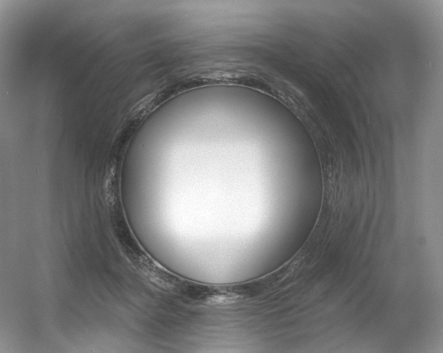 X0000056360364200508260952