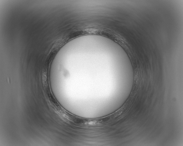 X0000056360365200508260952