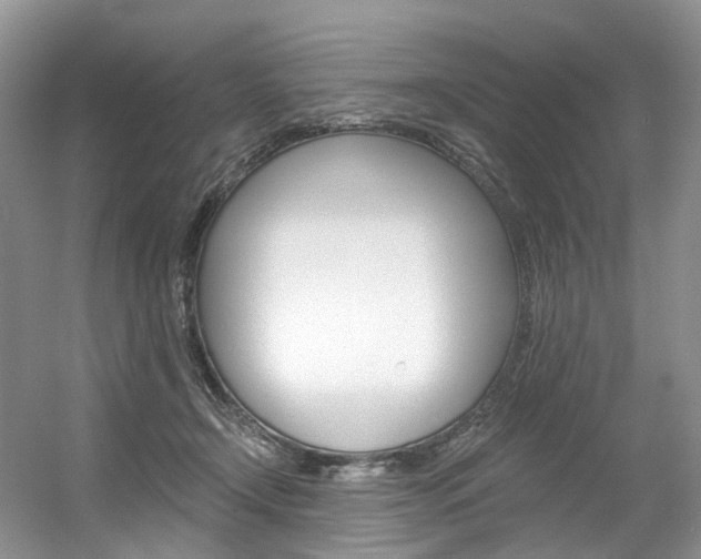 X0000056360366200508260952