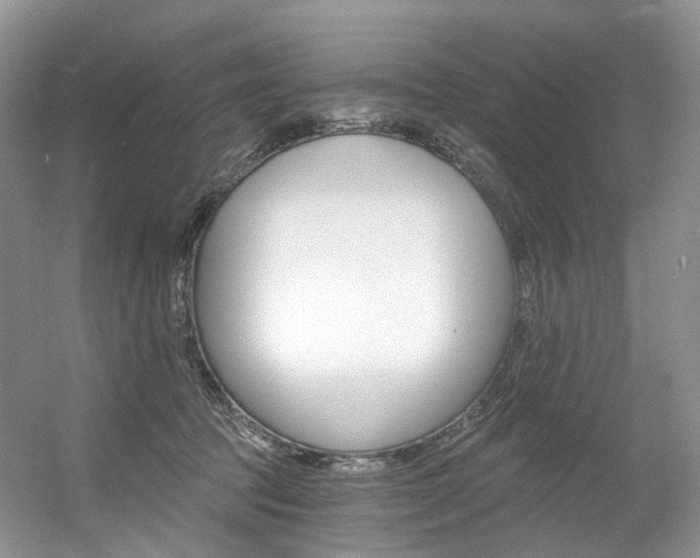 X0000056360369200508260952