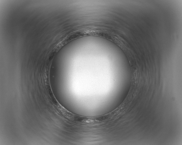 X0000056360372200508260952