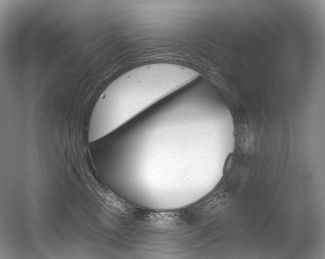 X0000056360378200508260952