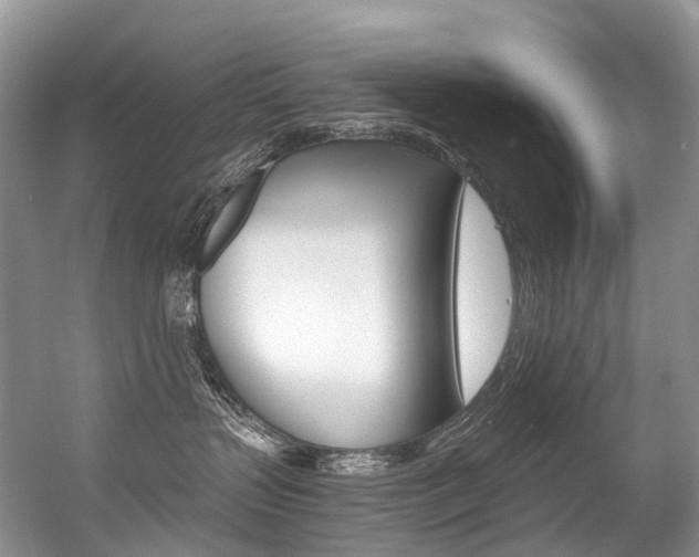 X0000056360383200508260952