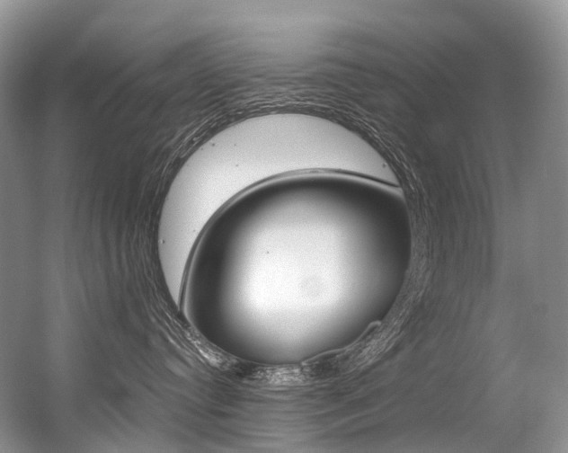 X0000056360384200508260952