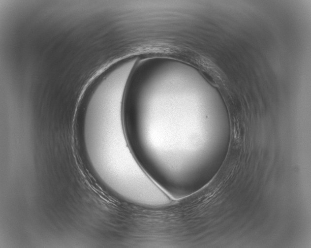 X0000056360388200508260951