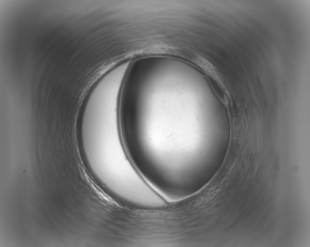 X0000056360389200508260951
