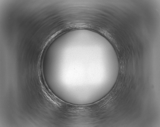 X0000056360390200508260951