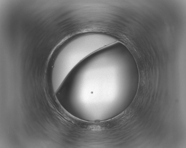 X0000056360392200508260951