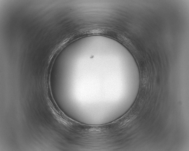 X0000056360394200508260951