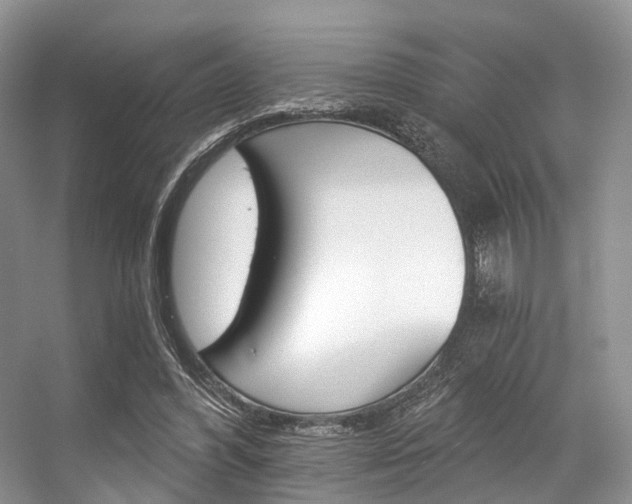 X0000056360396200508260951