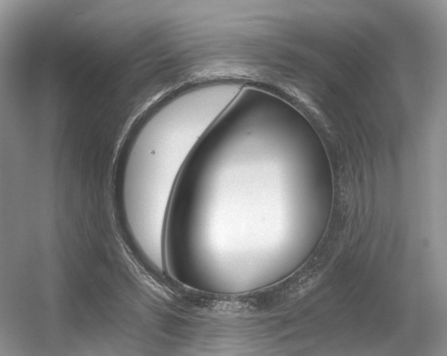 X0000056360399200508260951
