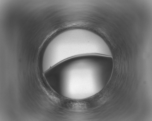 X0000056360400200508260951