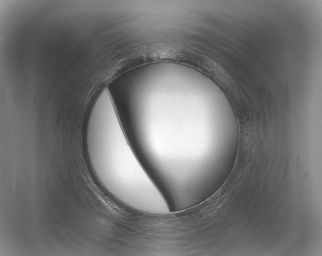 X0000056360401200508260951