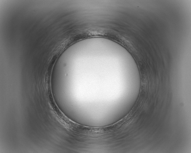 X0000056360402200508260951