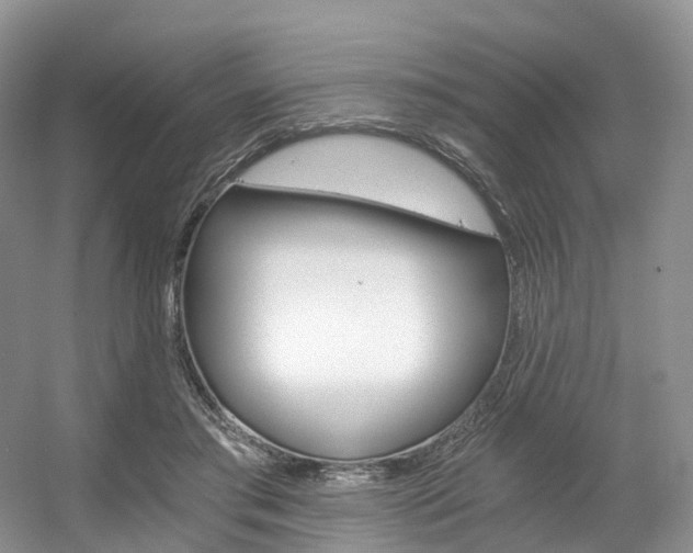 X0000056360405200508260951