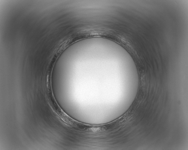 X0000056360406200508260951