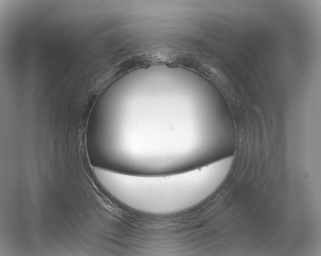 X0000056360409200508260951