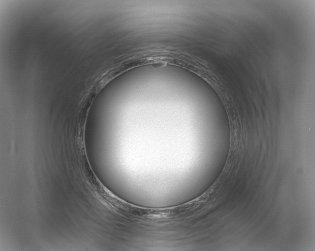X0000056360411200508260951