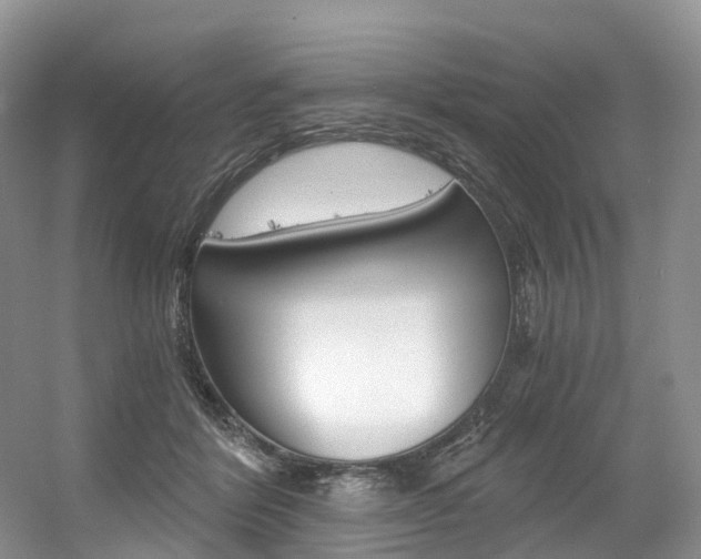 X0000056360412200508260951