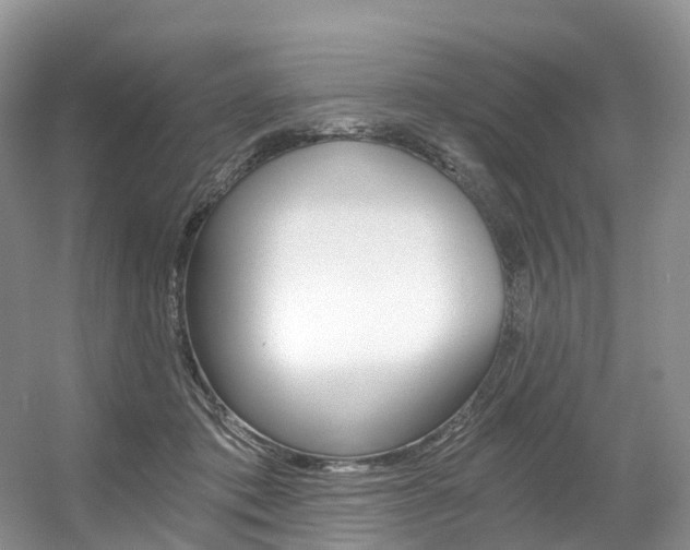 X0000056360413200508260951