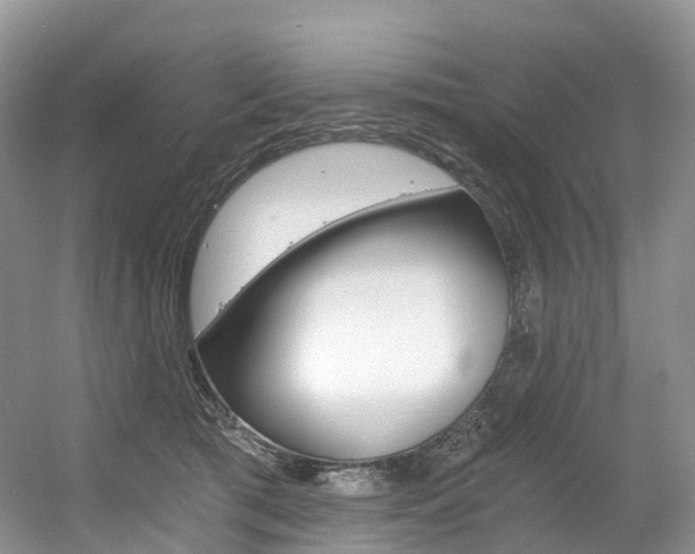 X0000056360417200508260951