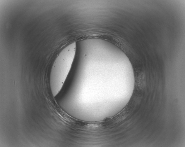 X0000056360418200508260951