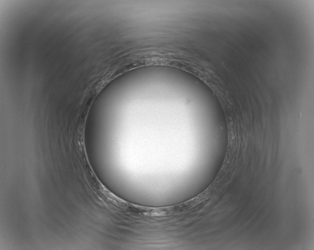 X0000056360419200508260951