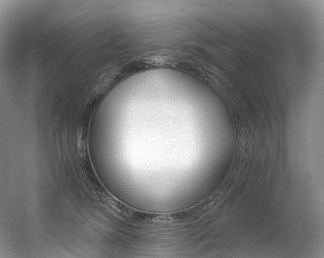 X0000056360420200508260951
