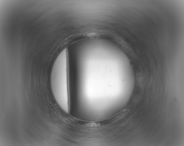 X0000056360421200508260951