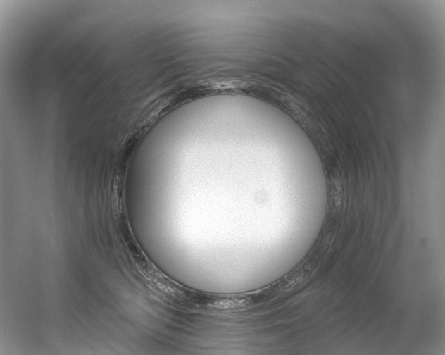 X0000056360422200508260951