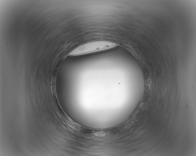 X0000056360423200508260951
