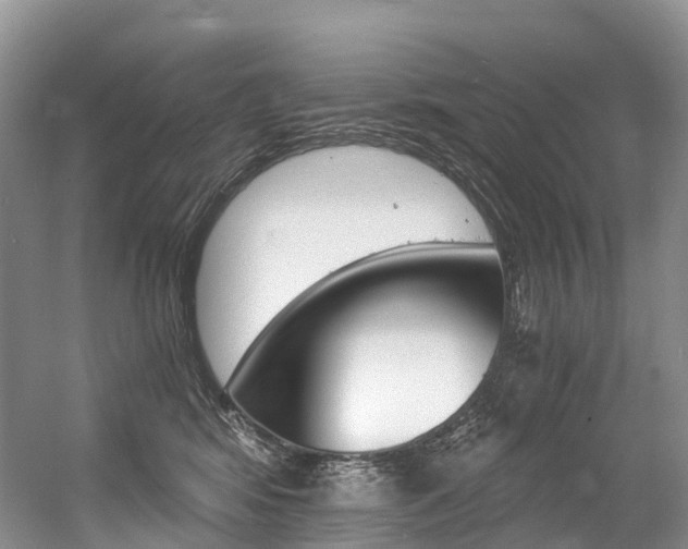 X0000056360424200508260951