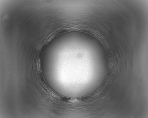 X0000056360425200508260951