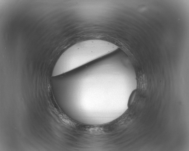 X0000056360426200508260951