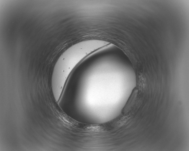 X0000056360428200508260951