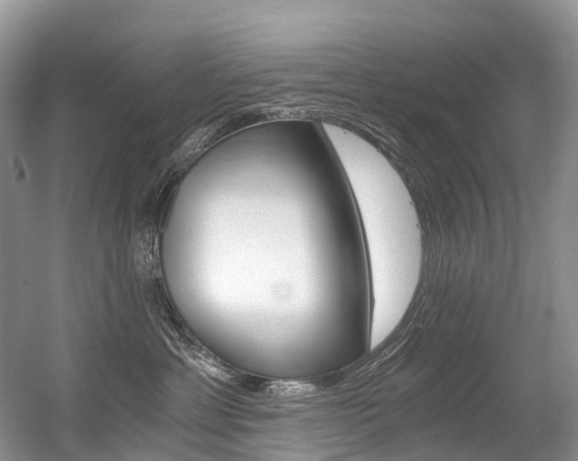 X0000056360429200508260951