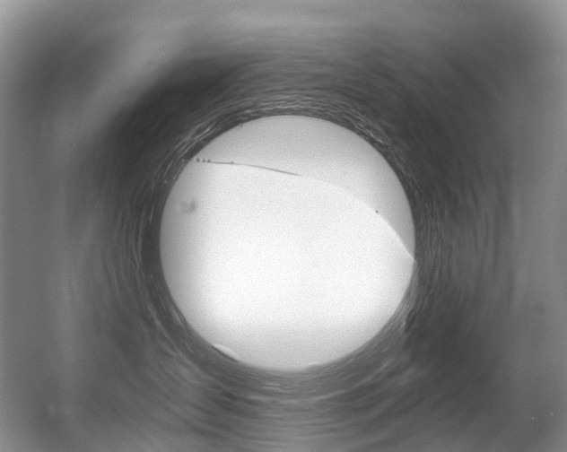 X0000056360431200508260951