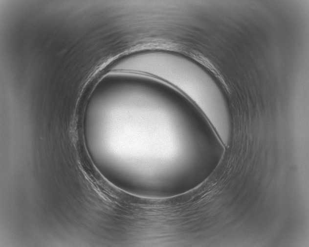 X0000056360436200508260950