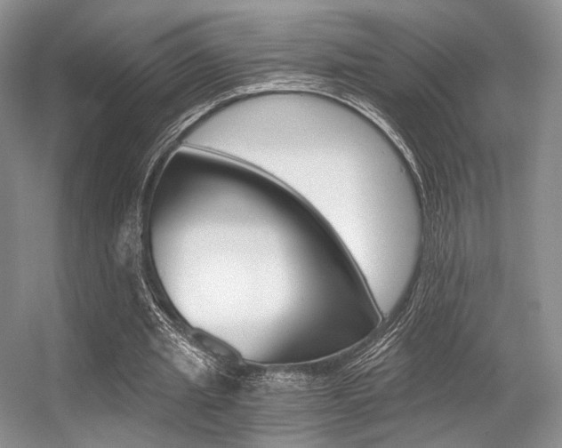 X0000056360437200508260950