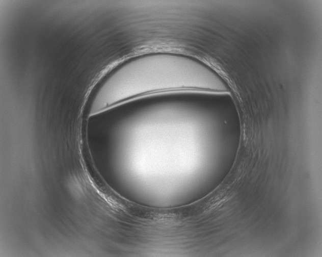 X0000056360438200508260950