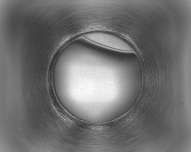 X0000056360439200508260950