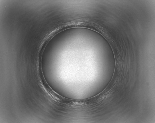 X0000056360442200508260950