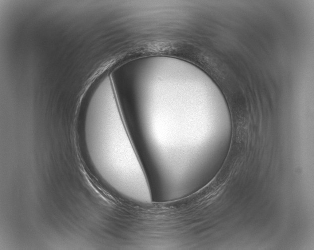 X0000056360443200508260950