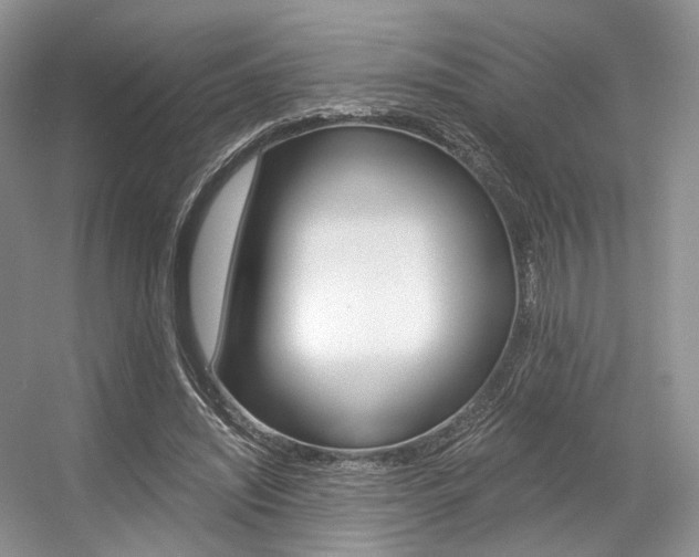 X0000056360444200508260950