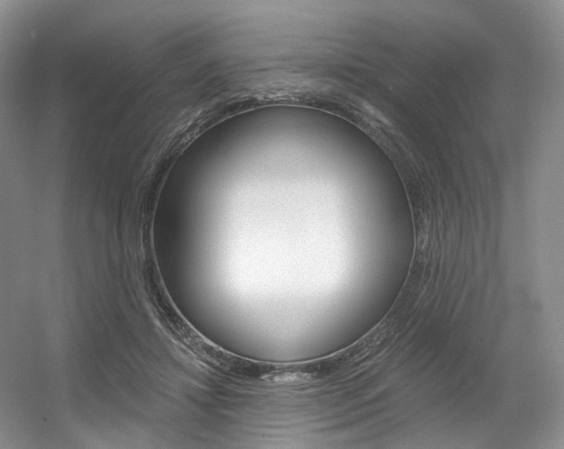 X0000056360452200508260950